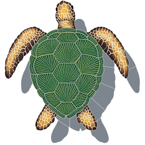 TLSNATM.jpg